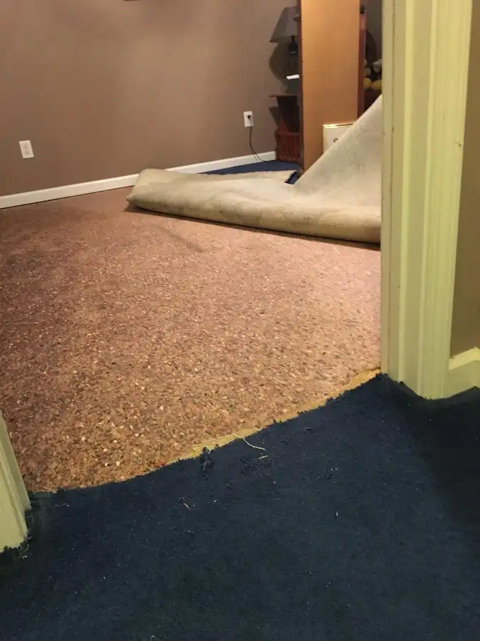 Carpet pad removal revealing water damage during Water Mitigation Services in Lake Barcroft