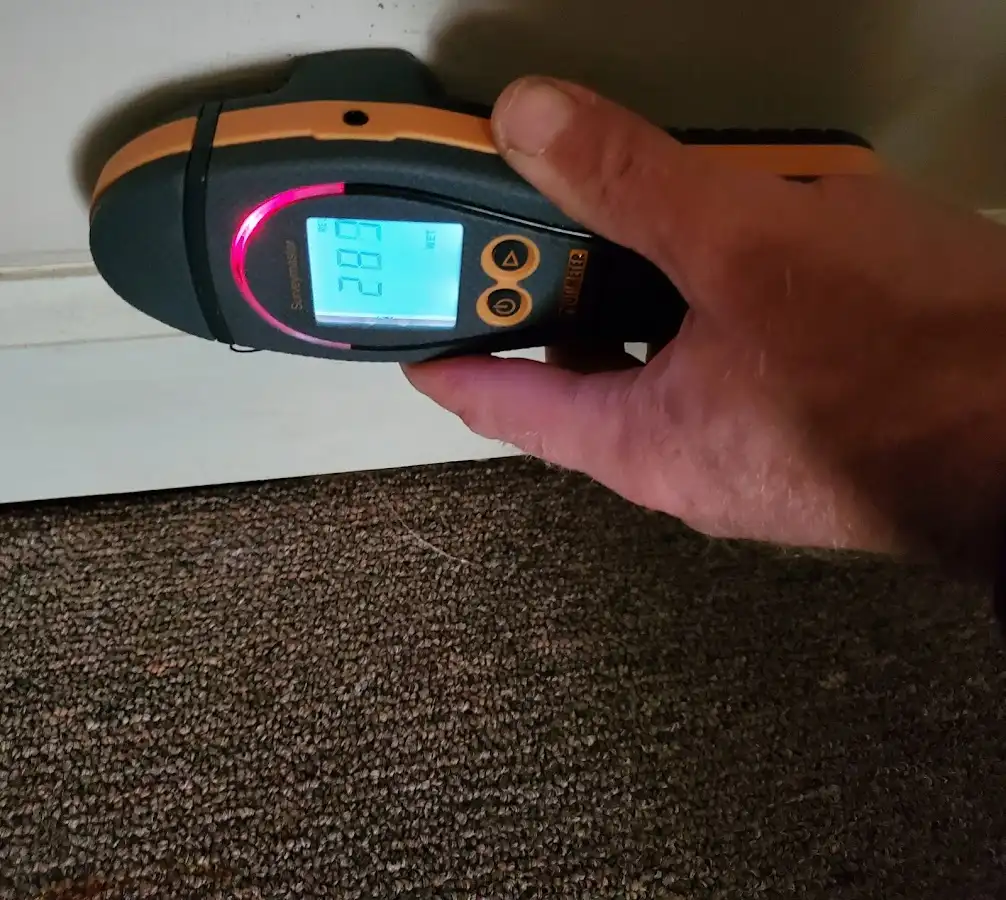Moisture detection at baseboard during Sewage Cleanup & Sanitation in Lake Barcroft